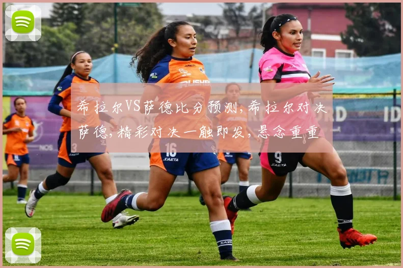 希拉尔VS萨德比分预测,希拉尔对决萨德,精彩对决一触即发,悬念重重