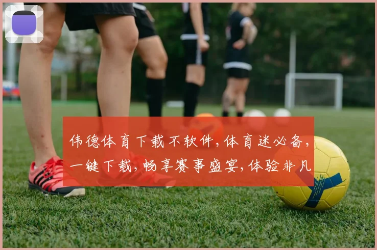 伟德体育下载不软件,体育迷必备,一键下载,畅享赛事盛宴,体验非凡